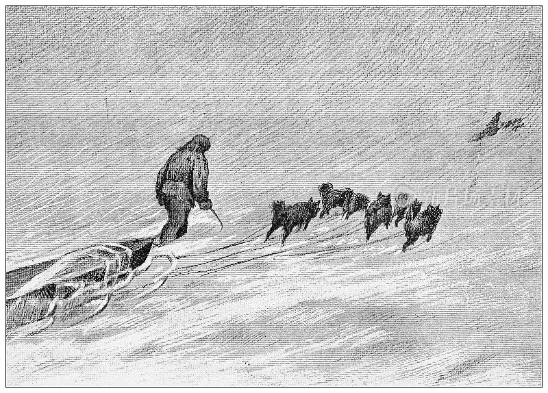 古董插图:Fridtjof Nansen北极探险队
